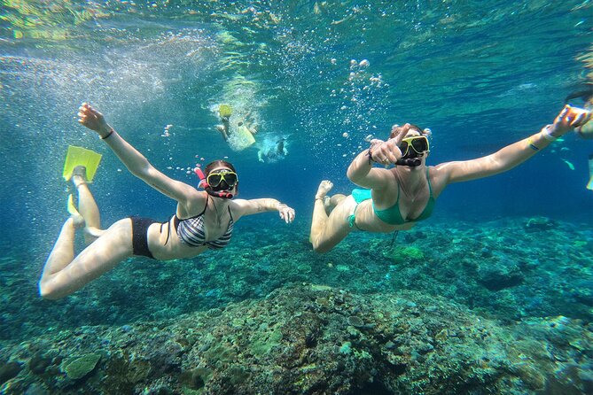 Snorkeling with Manta Rays in Their Habitat with Manta Point - Gear and the GoPro Setup: Getting Photos Without Hassle