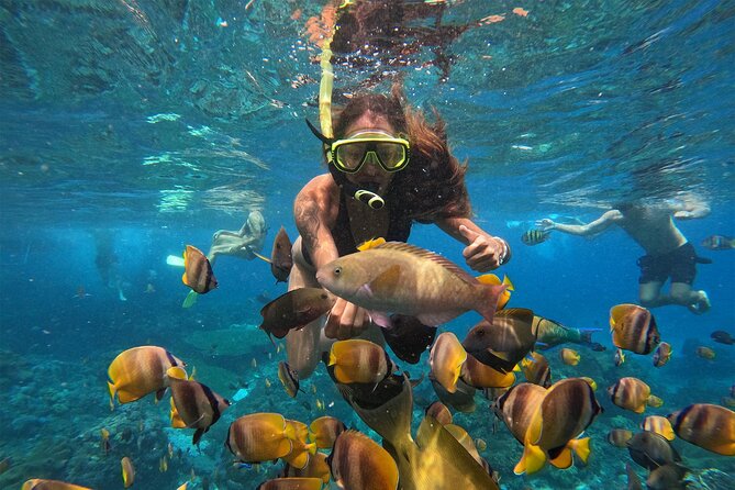 Snorkeling with Manta Rays in Their Habitat with Manta Point - Who Should Book This Manta Ray Snorkeling Tour