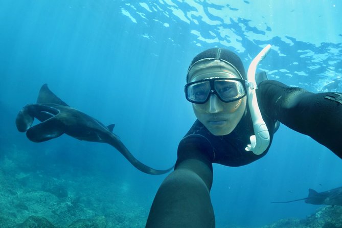 Snorkelling in Nusa Penida - Manta Point - Entering the Manta Point zone: the main reason people book