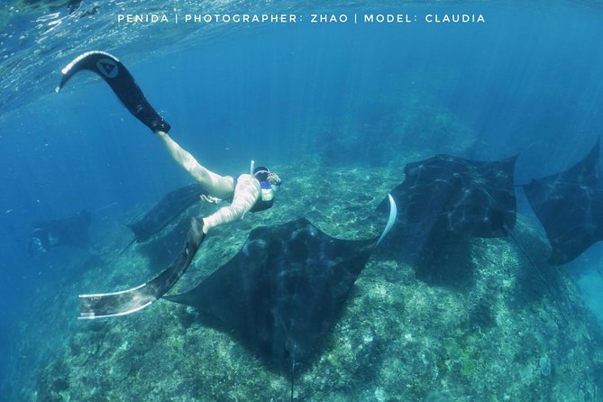 Snorkelling in Nusa Penida - Manta Point - Equipment setup: fast fitting means more water time