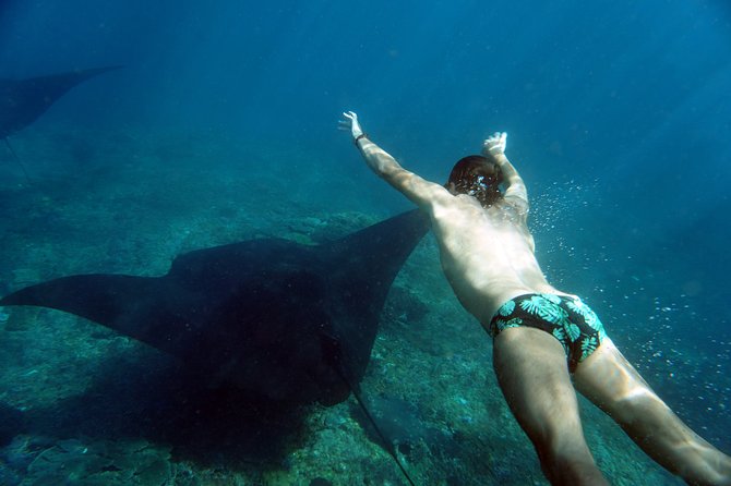 Snorkelling with Manta Rays at Nusa Penida and Lembongan - Stop 2 Choices: Crystal Bay for Turtles or Lembongan’s Drift Swim