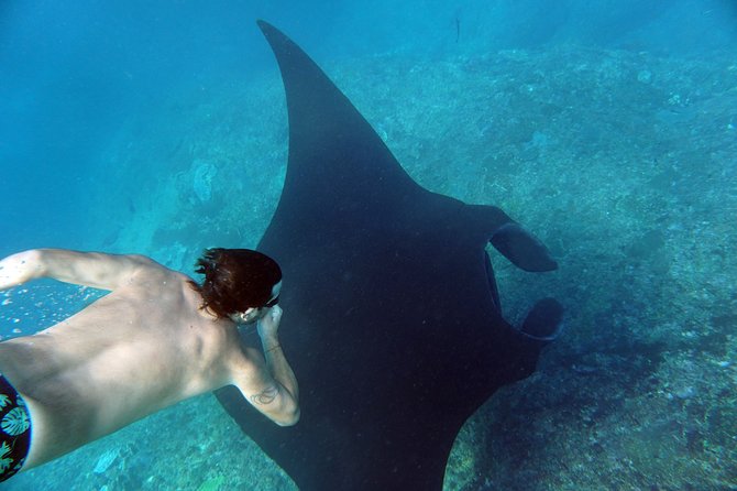 Snorkelling with Manta Rays at Nusa Penida and Lembongan - Group Size, Gear, and the Guide Ratio That Changes Everything