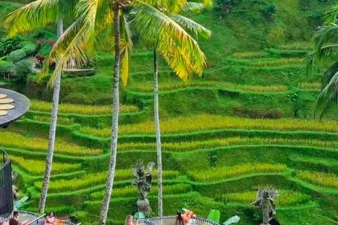 Sunset Sailboat Dinner Cruise & Private Ubud highlights Tour. - Tegalalang Rice Terraces: Your Classic Green Photo, With Real Walking