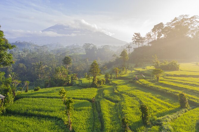 Tanah Lot - Jatiluwih (UNESCO) - Beratan lake -Hidden hill (Wanagiri)-FREE WI-FI - Wanagiri Hidden Hills: Swings and Bird-Nest Viewpoints