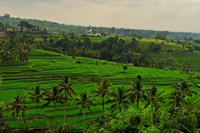 Tanah Lot Tour: Discover Bali’s Iconic Temple and Stunning Views - Jatiluwih Green Land (UNESCO): Rice Terrace Views That Actually Breathe
