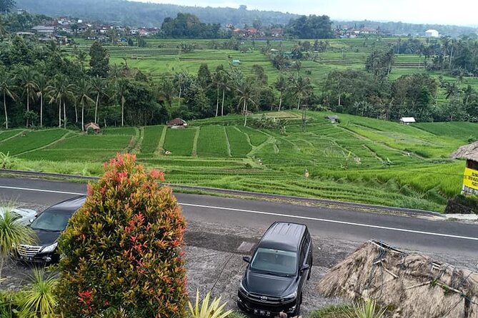 Tanah Lot Tour & North Bali Tour : All-Inclusive Best Experience - Guides, comfort, and how the day stays friendly