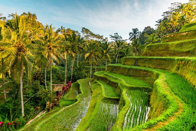 Tanah Lot Tour with Ubud Monkey Forest, Rice Terraces, and Waterfalls - Tanah Lot Temple: sea-rock views and crowd math