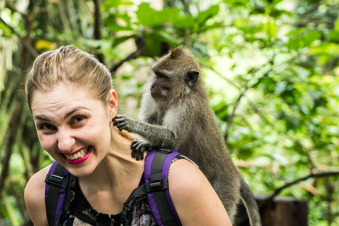 Tanah Lot Tour with Ubud Monkey Forest, Rice Terraces, and Waterfalls - Tegenungan Waterfall: quick dip time at the plunge-pool area