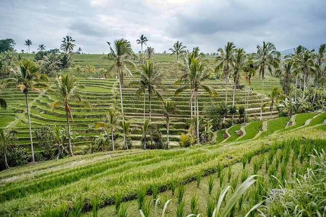 Tanah Lot & UNESCO Heritage Small Group Tour - Pickup, Timing, and Dress Code: The Stuff That Can Make or Break Your Day