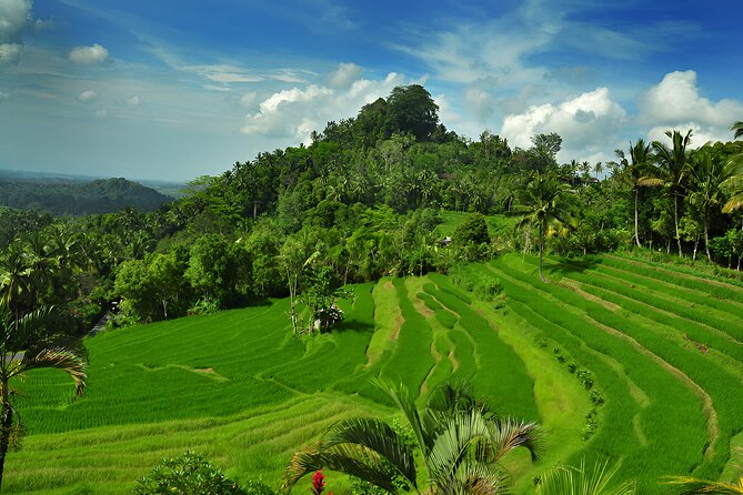 Telaga Waja White Water Rafting and Besakih Temple Tour - Timing, Pickup, and How the 8–10 Hours Moves