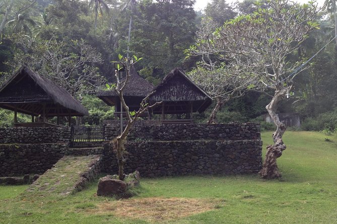 Tenganan Village Rice Field Trekking Tour - Rice terraces hike: what you’ll see and why the subak lesson matters