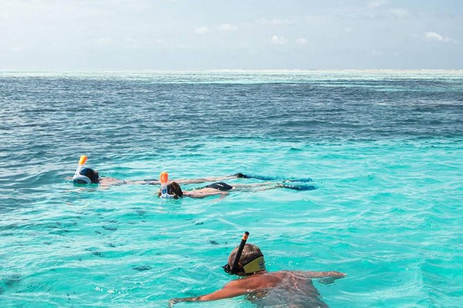 The Best 2-point Snorkeling in Padangbai: Blue lagoon and Tanjung jepun - Key Highlights (What You’ll Actually Care About)