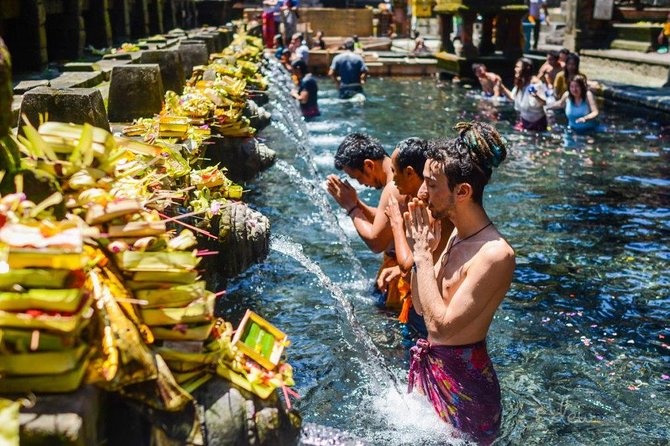 The Best of Ubud Tour and Jungle Swing - Quick hits