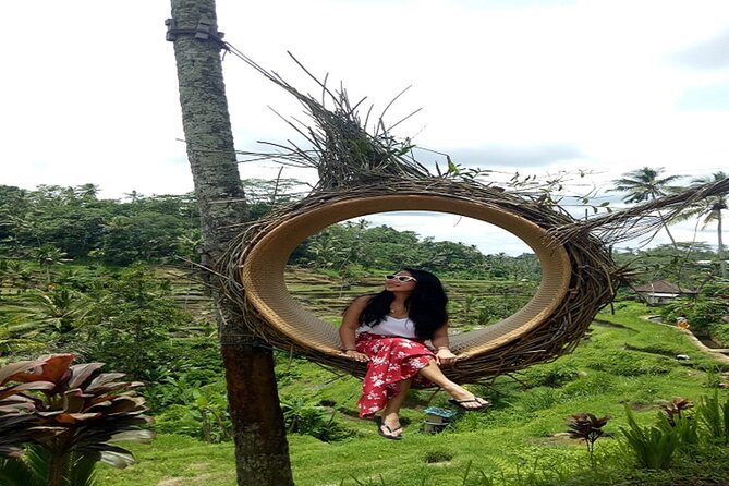 Tlaga Singha Infinity Pool, Jungle swing & Rice Terrace Trip - Who should book this tour, and who might skip it