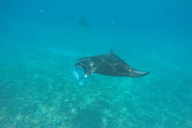 Try Diving in Manta Point - Nusa Penida - Key Things That Make This Try-Scuba Worth It