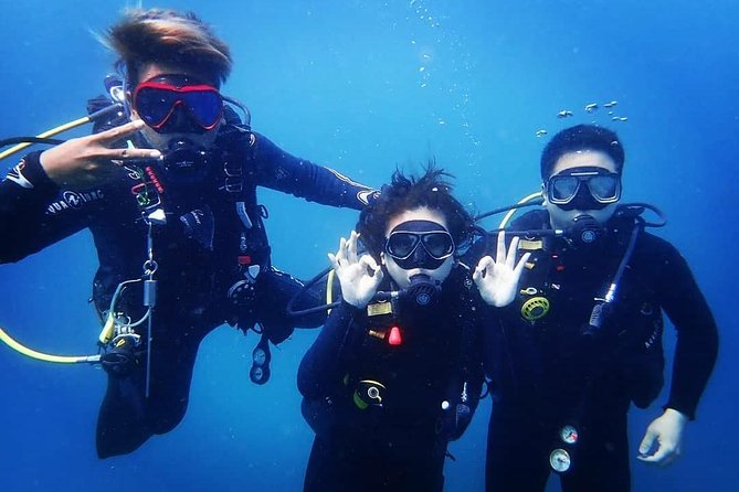 Try Diving in Manta Point - Nusa Penida - Why Manta Point Is the Big Draw for First-Timers