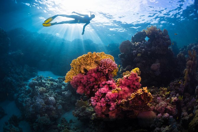 Try Freediving on Nusa Penida - Nusa Penida is the right classroom for confidence