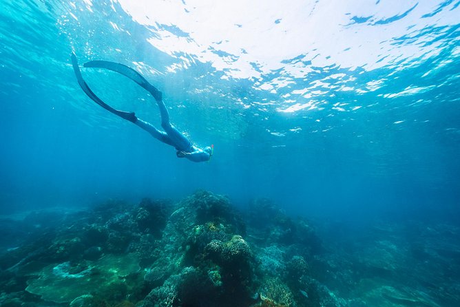 Try Freediving on Nusa Penida - Equipment and digital materials: what you can plan around