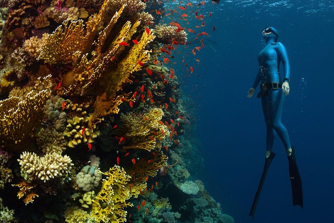 Try Freediving on Nusa Penida - Price and value: why $150 makes sense for a small-group try course