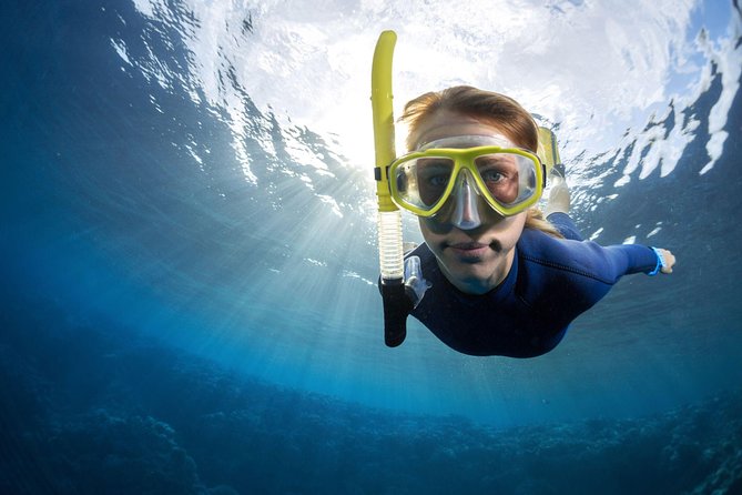Try Freediving on Nusa Penida - What happens in the first 1.5 hours: classroom + practical breath-hold theory
