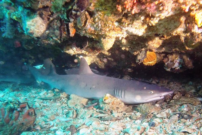 Try Scuba Diving at Padang Bai - Getting there from Sanur and beyond: the practical logistics