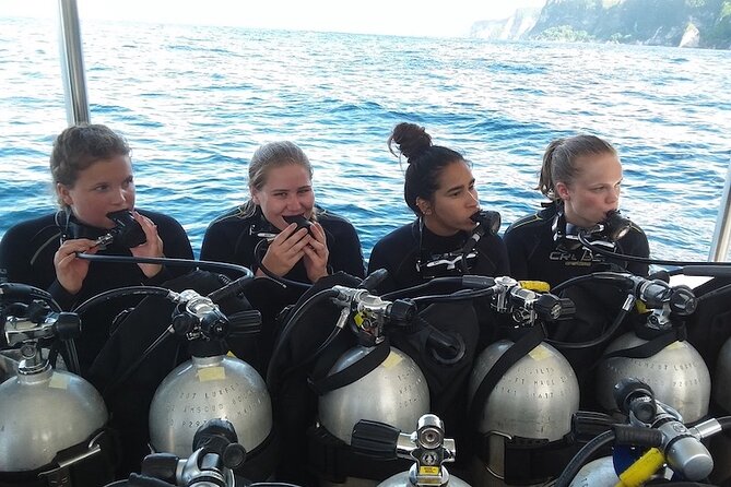 Try Scuba Diving for Beginners with manta rays (Non - Certified) - Key points to know before you go