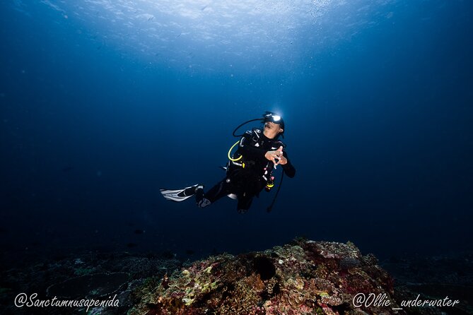 Try Scuba Diving for Beginners with manta rays (Non - Certified) - Price and value: how $122 compares to what you actually get