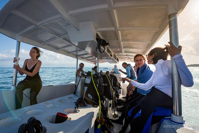Two fun dives morning trip (Certified Divers only) - Nusa Penida marine life: reefs, fish, and the manta spotlight