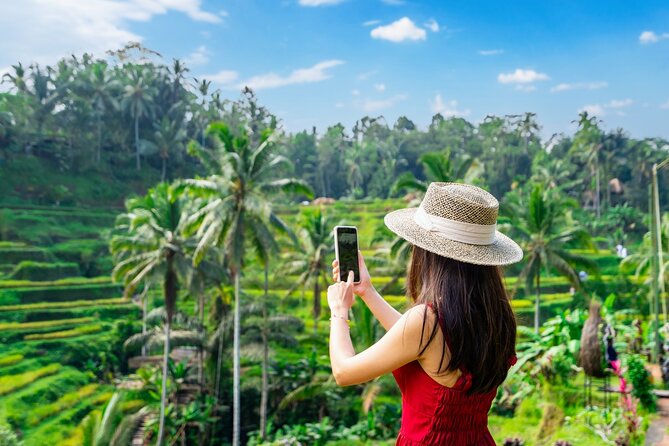 Ubud Adventure All Inclusive Private Day Tour - Sacred Monkey Forest Sanctuary: wildlife, temples, and careful hands