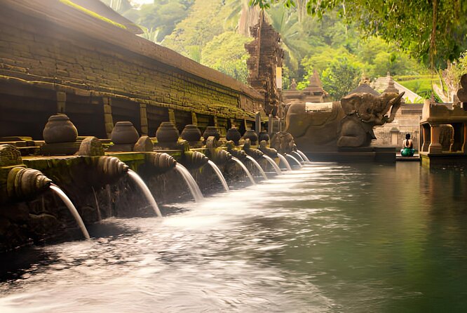 Ubud Bali: Rice Terrace, Waterfall and Tirta empul Day Tour - A cash-free culture and nature day from Seminyak