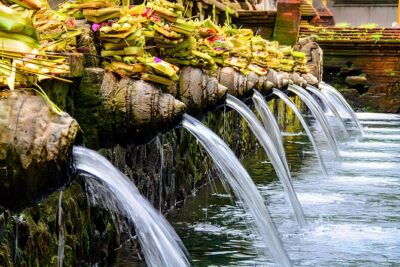 Ubud Bali: Rice Terrace, Waterfall and Tirta empul Day Tour - Goa Gajah (Elephant Cave): history with a strange, beautiful vibe