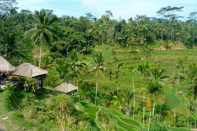 Ubud Combine Mount Batur Kintamani Tour - Price and value: is $27 actually a good deal?
