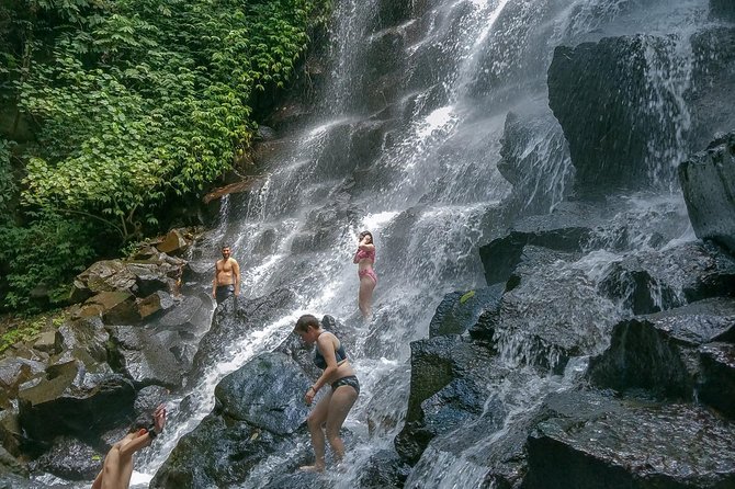 Ubud Customized Private Tour - Tegenungan Waterfall: Great Views, Real Stairs