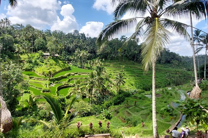 Ubud Customized Private Tour - Kanto Lampo Waterfall: A Photo-Friendly Reset