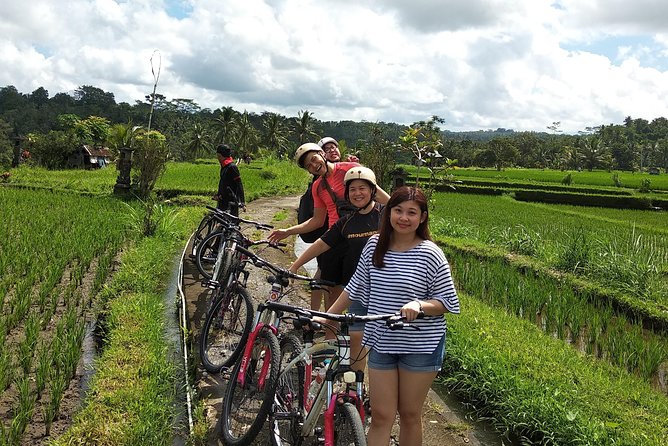 Ubud Cycling Tour - A Small Group Day: Max 12 and a “Made for Everyone” Approach