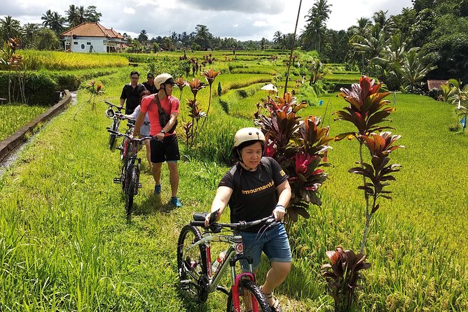 Ubud Cycling Tour - Food Stops That Keep the Day Balanced