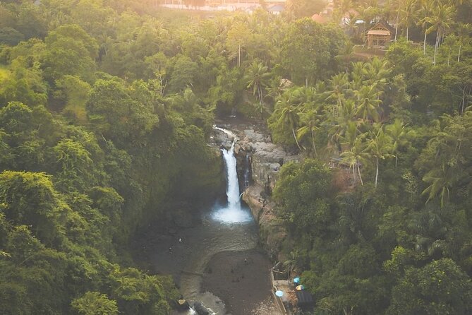 Ubud Day Tour: Sacred Monkey Forest, Tegenungan Waterfall, Rice Terrace - What You Actually Get for $24: A Value Check That Makes Sense