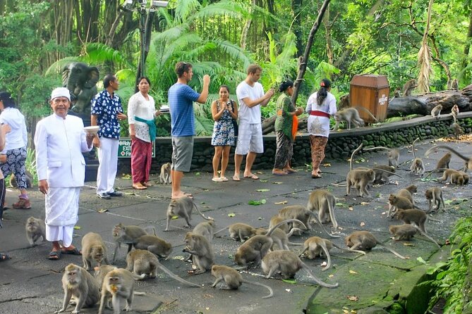 Ubud Day Tour: Sacred Monkey Forest, Tegenungan Waterfall, Rice Terrace - Ubud Art Market + Palace: The Cultural Side Without the Museum Fatigue