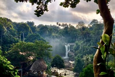 Ubud Day Tour with Private Car & Local Driver - Car comfort, hotel pickup, and why a driver changes the day