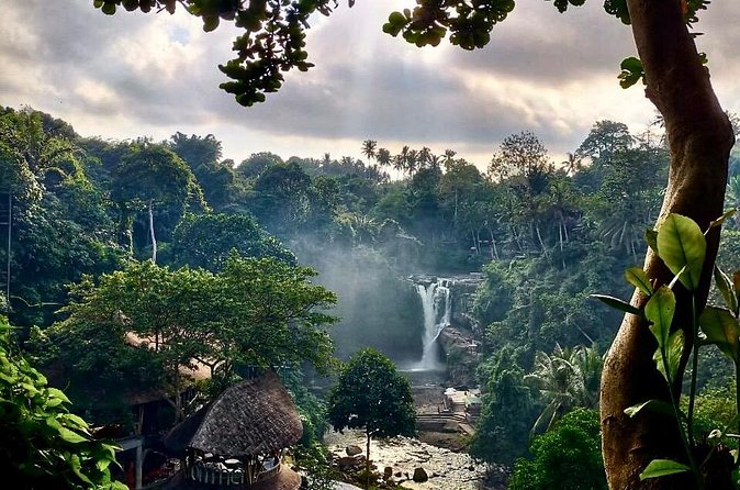 Ubud Day Tour with Private Car & Local Driver - Stop 4: Tegalalang Rice Terrace and how to enjoy the views
