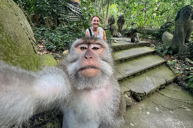 Ubud Day Tour with Private Car & Local Driver - Monkey Forest Sanctuary and Batuan Temple: culture and character beyond the main map