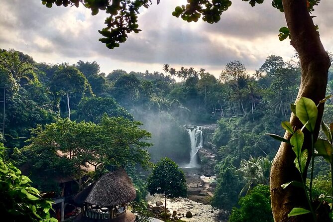 Ubud Day Tour with Private Car & Local Driver - Car comfort, hotel pickup, and why a driver changes the day