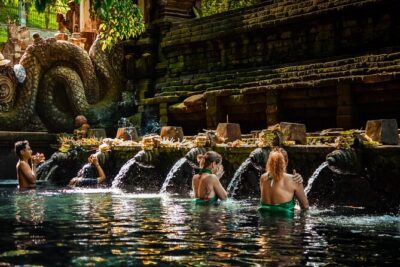 Ubud Experience | Full Day Private Tour in Ubud | FREE WIFI - Monkey Forest Sanctuary: temples, shade, and the monkey math