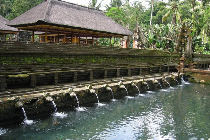 Ubud Experience ; Swing, Waterfalls, Art Market, Rice Terrace - Price and Value at Around $41.67 Per Person
