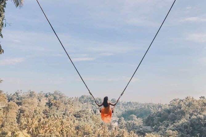 Ubud Full Day - Monkey Forest, Rice Terrace and Waterfalls Tour - Key points to know before you go