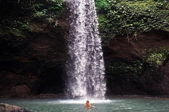 Ubud Full Day - Monkey Forest, Rice Terrace and Waterfalls Tour - Price and Logistics: Is $28 a Smart Deal?