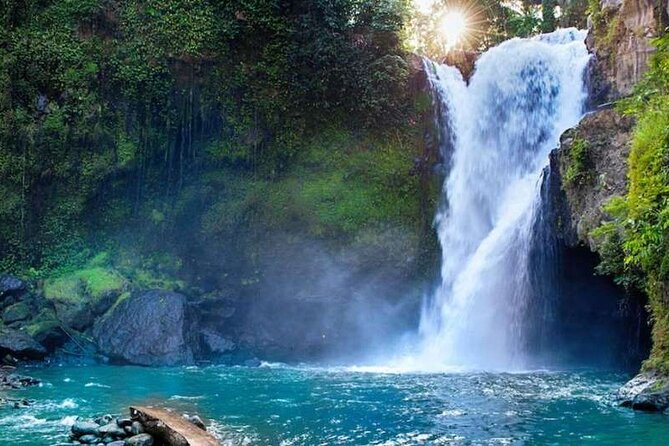 Ubud Full Day Tour Waterfall Monkey Forest Rice Terrace - Price and Logistics: Is $27 Good Value?