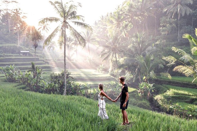Ubud Full Day Tour Waterfall Monkey Forest Rice Terrace - Tirta Empul Temple: Vishnu, Spring Water, and a Spiritual Pause