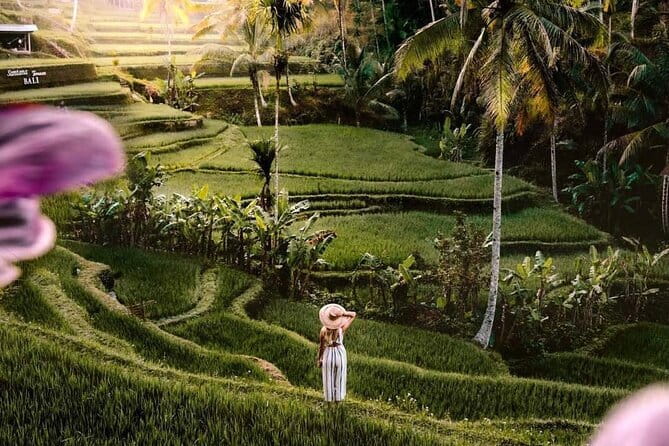 Ubud Highlights -Private Tour,Temples, Waterfalls & Rice terraces - Key Highlights You’ll Actually Feel