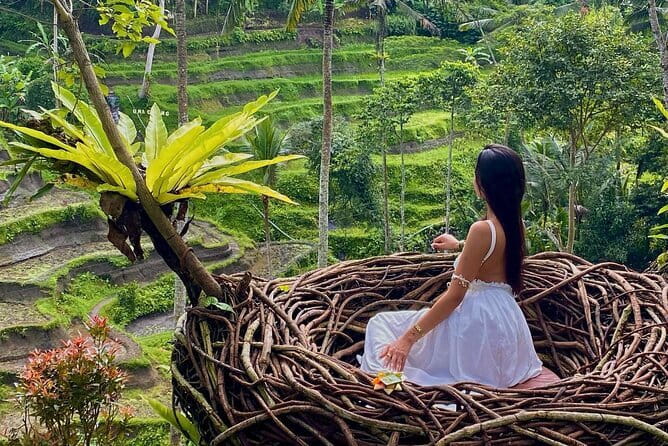 Ubud Highlights -Private Tour,Temples, Waterfalls & Rice terraces - Ubud in One Long Day: Why This Mix Works